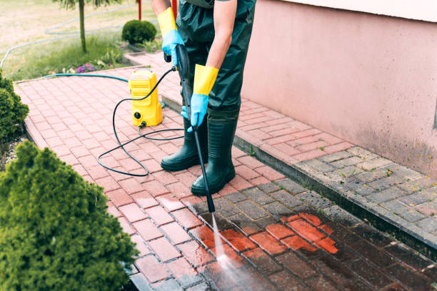 Best Gutter Cleaning  in Waverly, MI