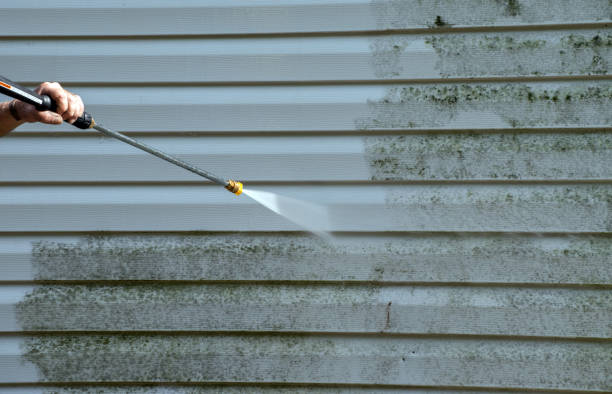 Professional Pressure Washing in Waverly, MI