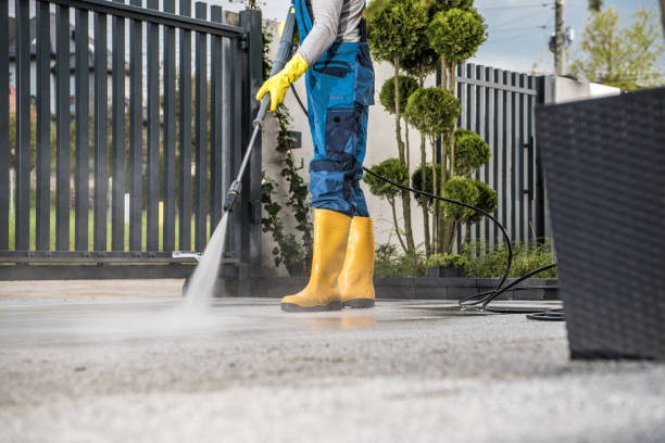 Best Pool Deck Cleaning  in Waverly, MI